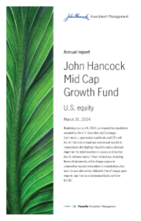 Mid Cap Growth Fund annual report